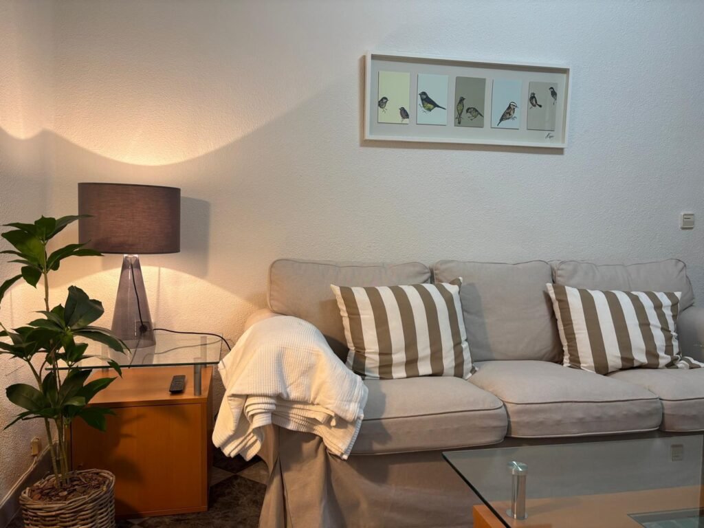 sofa coliving city salamanca